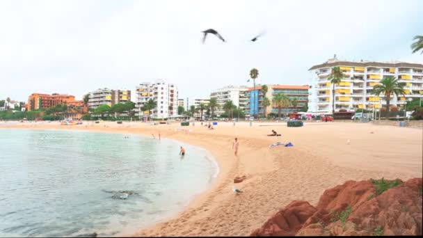 Krásná Středomořská Pláž Křišťálově Tyrkysovým Mořem — Stock video