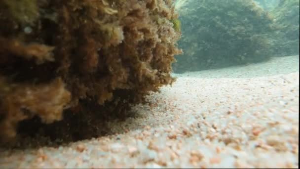 Křišťálově Tyrkysové Mořské Vlny Narážejí Skalnatý Břeh Natáčení Pod Vodou — Stock video