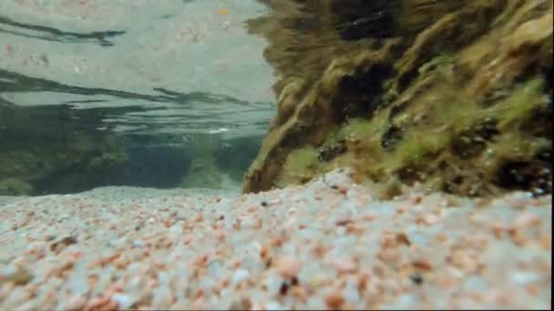 Disparando Bajo Agua Olas Cristalinas Mar Turquesa Estrellan Costa Rocosa — Vídeos de Stock