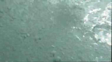  Deniz köpüğü ve deniz dalgalarının sualtı çekim gücü