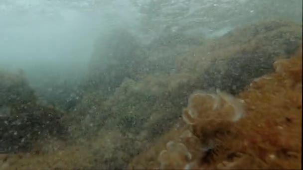 Unterwasseraufnahmen Von Meeresschaum Und Meereswellen — Stockvideo