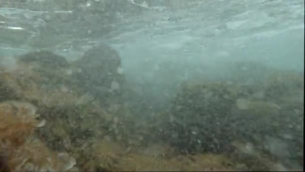 Tiro Subaquático Espuma Mar Ondas Mar — Vídeo de Stock