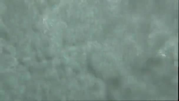 Underwater Shooting Sea Foam Sea Waves — Stock Video