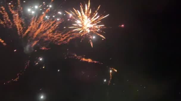Echt Festliches Buntes Feuerwerk Nachthimmel — Stockvideo