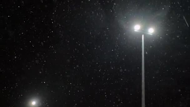 Scena Della Notte Inverno Grandi Fiocchi Neve Vorticano Cadono Sullo — Video Stock