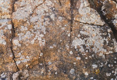 Parlak sarı ve beyaz yosunlarla kaplı muhteşem kayaların yakın çekimi.