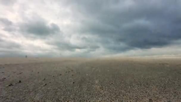 Angin Badai Membawa Pasir Sepanjang Pantai — Stok Video