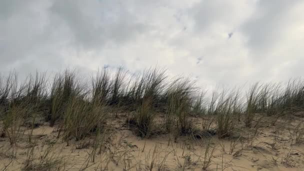 Песчаные Дюны Против Драматического — стоковое видео