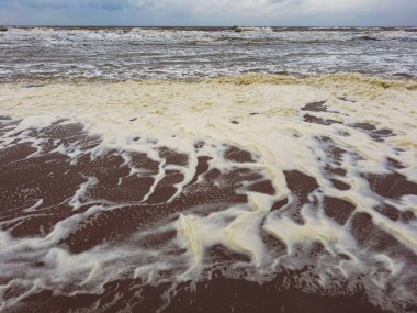 Dirty foam on the shore of a stormy sea clipart