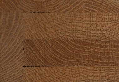 Çatlakları ve delikleri olan eski bir meşe ağacının parçası.. 