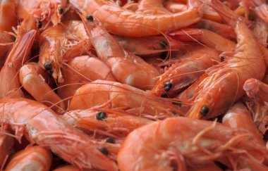 Kapatın. En iyi pişmiş kaplan karidesi manzarası. Mutfak arka planı pişmiş karidesler pişmiş karides.