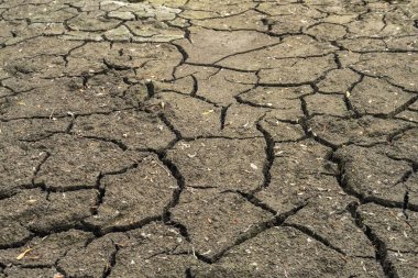 Doğal şablonlar ve dağınık yapraklarla çatlamış kuru toprağın ayrıntılı biçimde yakın planlanması, kuraklığı, iklim değişikliğini ve çevresel sorunları sembolize ediyor.