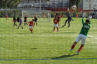 Rotterdam, Hollanda, 30 Ağustos 2025. Yeşil formalı genç futbolcu yeşil sahada takım arkadaşlarıyla yapılan bir futbol antrenmanı sırasında kurtarış antrenmanı yapıyor.
