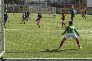 Rotterdam, Hollanda, 30 Ağustos 2025. Yeşil formalı genç futbolcu yeşil sahada takım arkadaşlarıyla yapılan bir futbol antrenmanı sırasında kurtarış antrenmanı yapıyor.