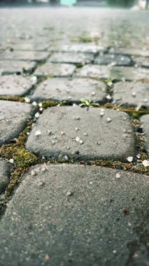 Çakıl taşlarının üzerine dolu yağar. Dolu taneleri şehrin beton kaldırımlarına düşer. Dikey video. Yüksek kalite 4k görüntü