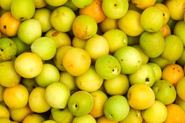 Yakın plan taze sarı erikler, açık yeşil erikler.