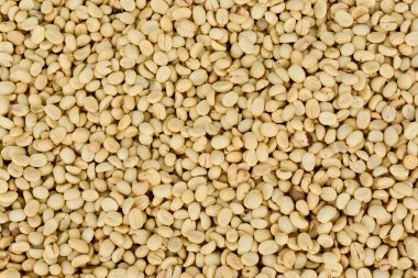 Parşömen Kahve Fasulyeleri Güneşte Kurutuluyor, Islak İşlem Kahvesi.