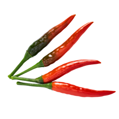 Kırmızı biber şeffaf arkaplanda izole edilmiş.