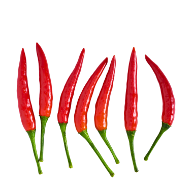 Kırmızı biber şeffaf arkaplanda izole edilmiş.