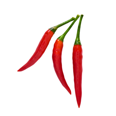 Kırmızı biber şeffaf arkaplanda izole edilmiş.