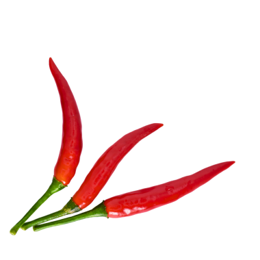 Kırmızı biber şeffaf arkaplanda izole edilmiş.