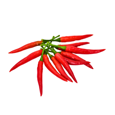 Kırmızı biber şeffaf arkaplanda izole edilmiş.