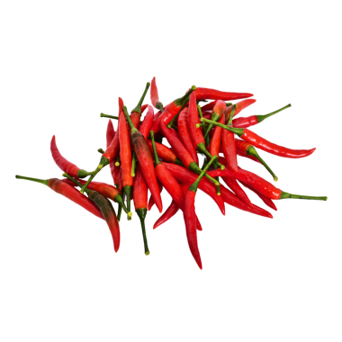 Kırmızı biber şeffaf arkaplanda izole edilmiş.