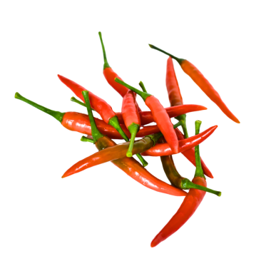 Kırmızı biber şeffaf arkaplanda izole edilmiş.