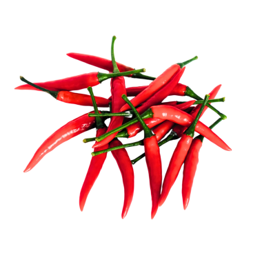 Kırmızı biber şeffaf arkaplanda izole edilmiş.