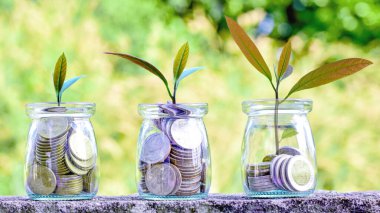 finansal büyüme konsepti, yatırım, küçük yeşil santralli altın para yığınları, sürdürülebilir yatırım ve ekonomik refah kavramını gösteren.