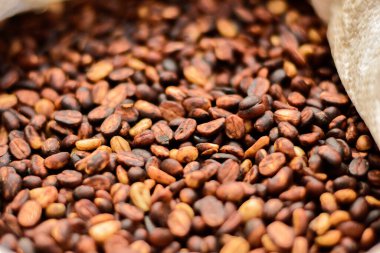 Bal işliyor kahve çekirdekleri güneşin altında kuruyor, hamuru ve mukoza mayası olarak sarımsı kahverengi bir renk geliştiriyor..