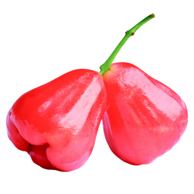 Şeffaf Arkaplan Üzerine Taze Gül Elması.