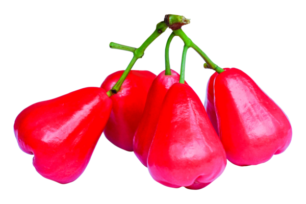 Şeffaf Arkaplan Üzerine Taze Gül Elması.