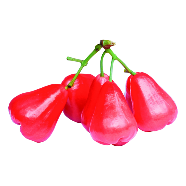 Şeffaf Arkaplan Üzerine Taze Gül Elması.