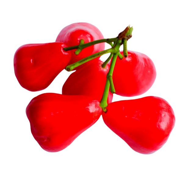 Şeffaf Arkaplan Üzerine Taze Gül Elması.