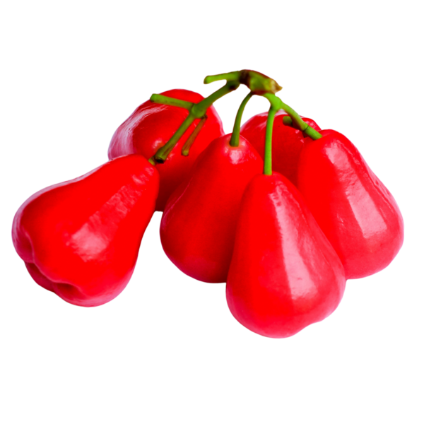 Şeffaf Arkaplan Üzerine Taze Gül Elması.