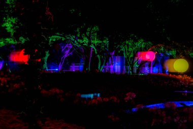 Neon Işık Hareketi Bulanık Arkaplanı