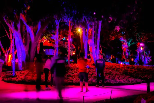 Neon Işık Hareketi Bulanık Arkaplanı