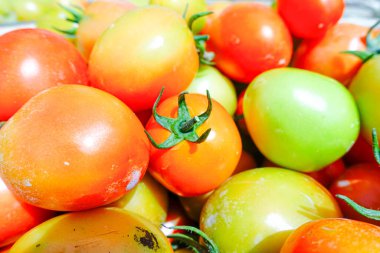 Taze ve Olgun Domateslerin Sepette Yakın Çekimi, Domates Hasadı