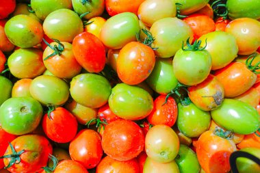 Taze ve Olgun Domateslerin Sepette Yakın Çekimi, Domates Hasadı