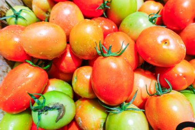 Taze ve Olgun Domateslerin Sepette Yakın Çekimi, Domates Hasadı