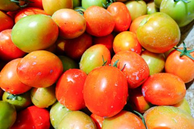 Taze ve Olgun Domateslerin Sepette Yakın Çekimi, Domates Hasadı