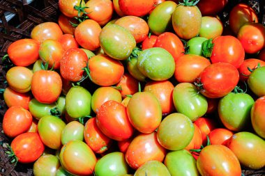 Taze ve Olgun Domateslerin Sepette Yakın Çekimi, Domates Hasadı