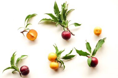 Beyaz Arkaplanda Yaprakları Olan Taze Mor ve Sarı Erikler, Meyve Arkaplanı.