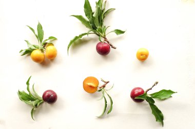 Beyaz Arkaplanda Yaprakları Olan Taze Mor ve Sarı Erikler, Meyve Arkaplanı.