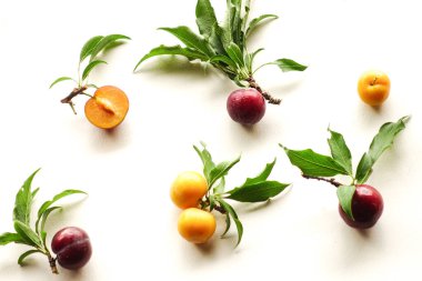 Beyaz Arkaplanda Yaprakları Olan Taze Mor ve Sarı Erikler, Meyve Arkaplanı.