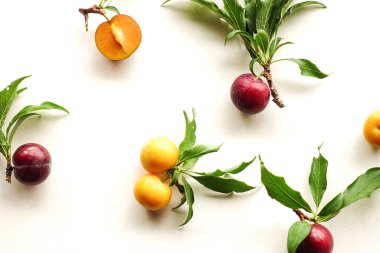 Beyaz Arkaplanda Yaprakları Olan Taze Mor ve Sarı Erikler, Meyve Arkaplanı.