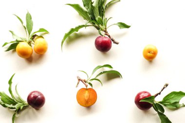 Beyaz Arkaplanda Yaprakları Olan Taze Mor ve Sarı Erikler, Meyve Arkaplanı.