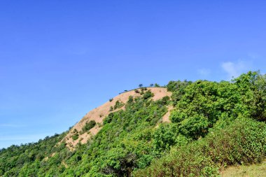 Açık mavi gökyüzünün altında karışık orman ve çim tepesi olan dağ manzarası