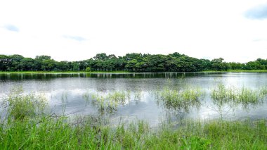 Bulutlu Gök Altında Yeşil Orman Yansımalı Huzur Gölü